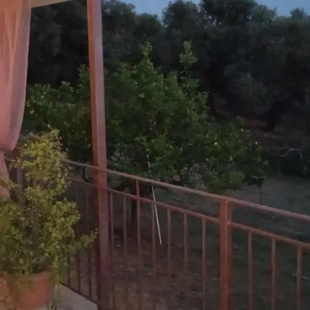 Kate's Family House